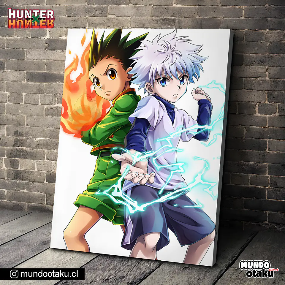 Cuadro Bastidor - Hunter x Hunter 1