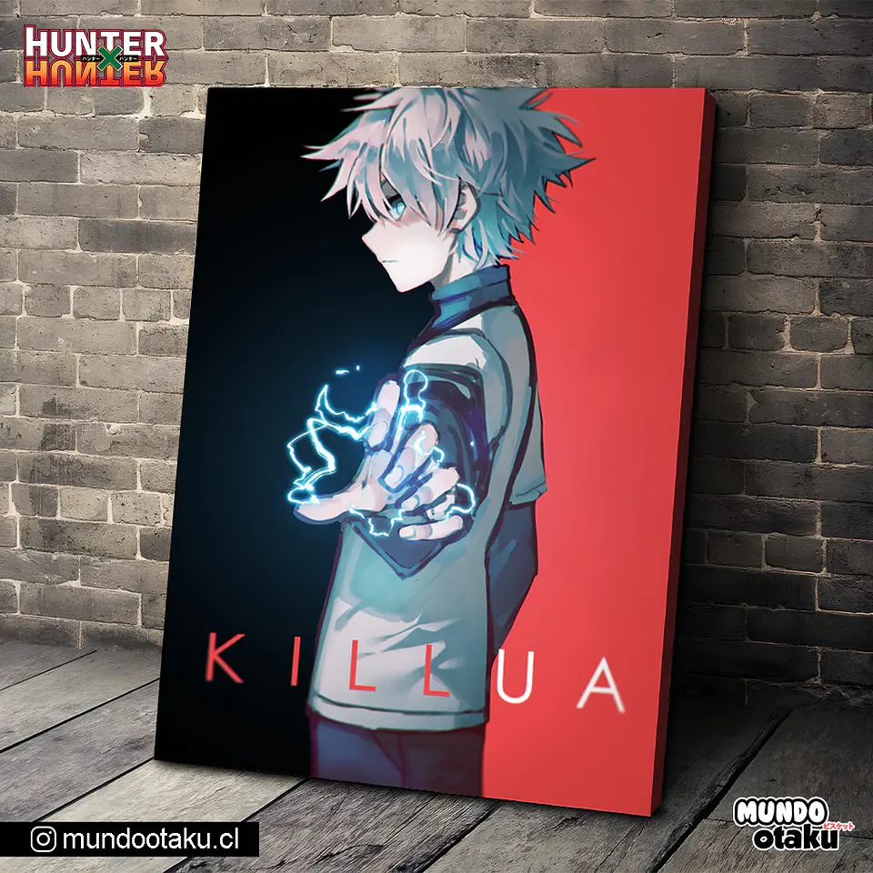 Cuadro Bastidor - Hunter x Hunter 1