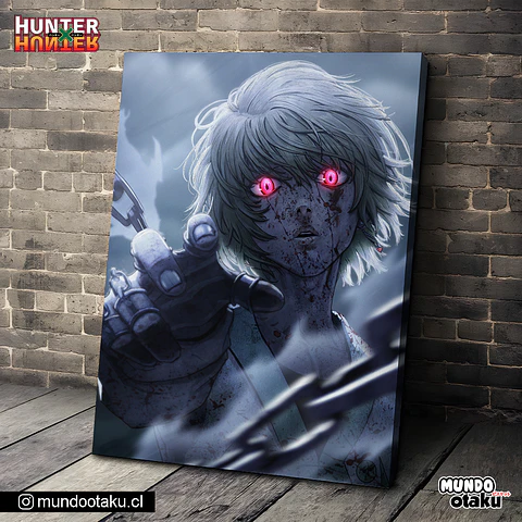 Cuadro Bastidor - Hunter x Hunter