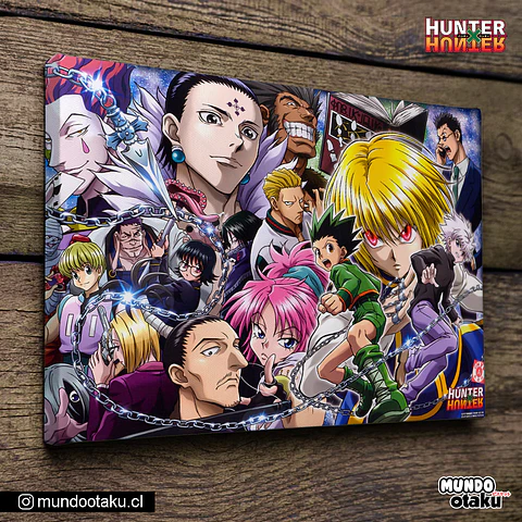 Cuadro Bastidor - Hunter x Hunter