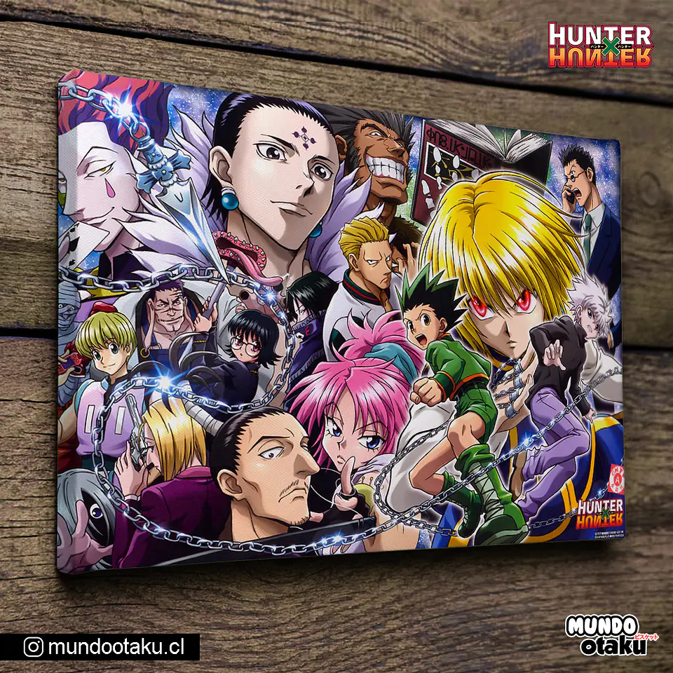 Cuadro Bastidor - Hunter x Hunter 1
