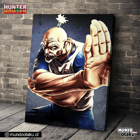 Cuadro Bastidor - Hunter x Hunter
