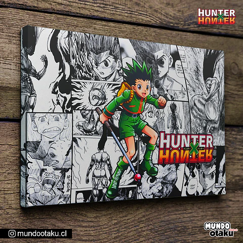 Cuadro Bastidor - Hunter x Hunter