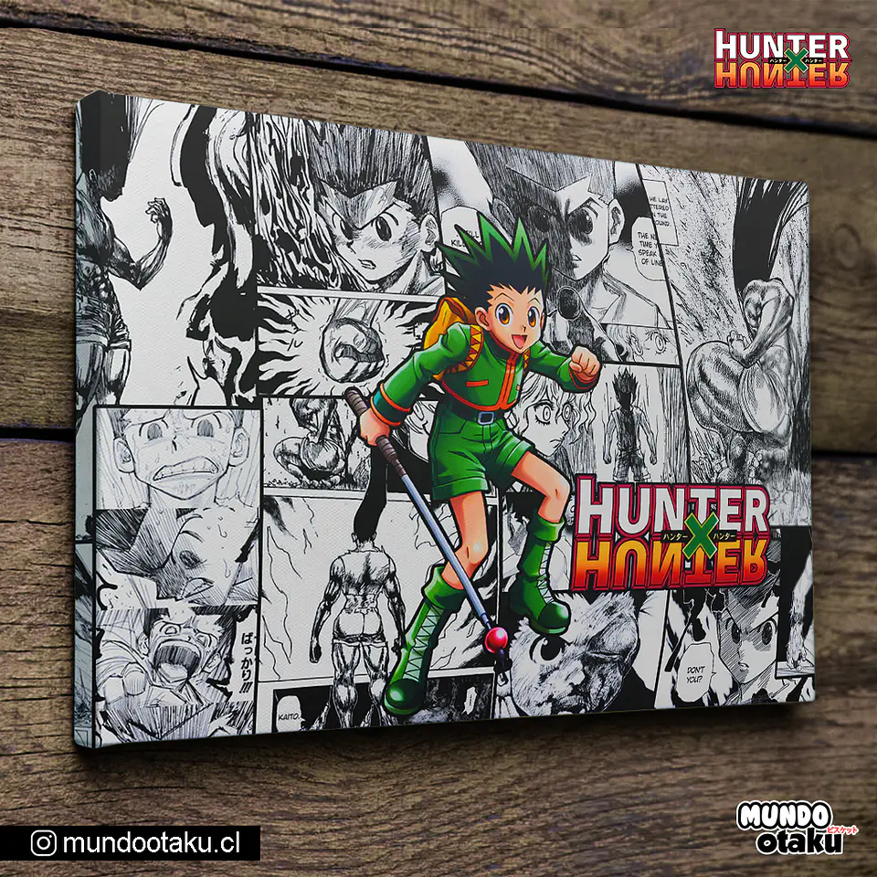 Cuadro Bastidor - Hunter x Hunter 1
