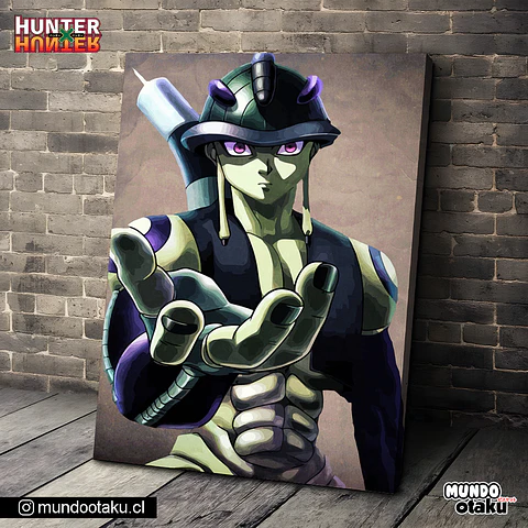Cuadro Bastidor - Hunter x Hunter