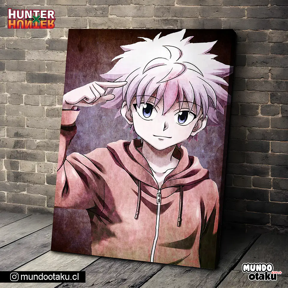 Cuadro Bastidor - Hunter x Hunter 1