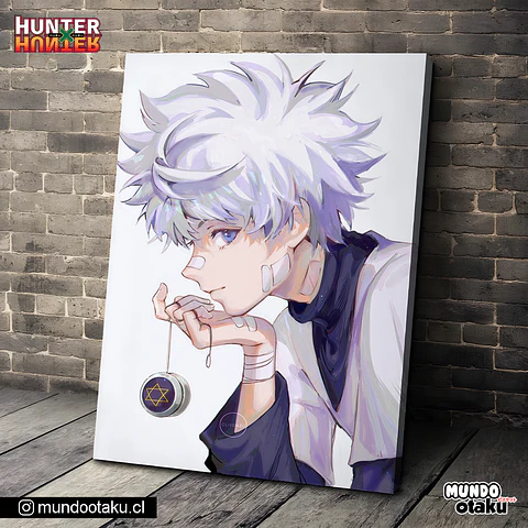 Cuadro Bastidor - Hunter x Hunter