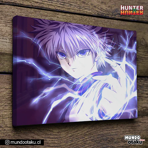 Cuadro Bastidor - Hunter x Hunter