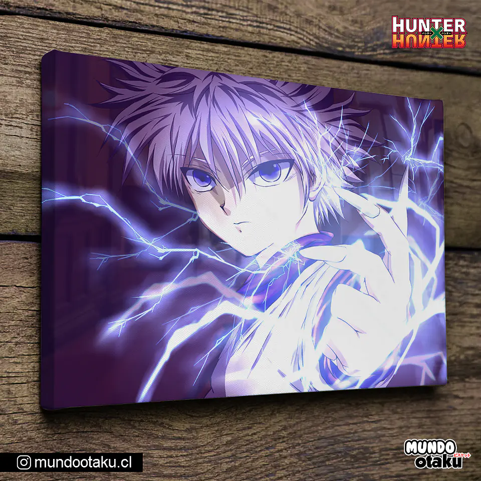 Cuadro Bastidor - Hunter x Hunter 1