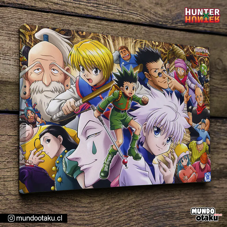 Cuadro Bastidor - Hunter x Hunter 1