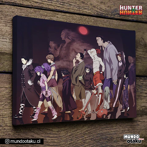 Cuadro Bastidor - Hunter x Hunter
