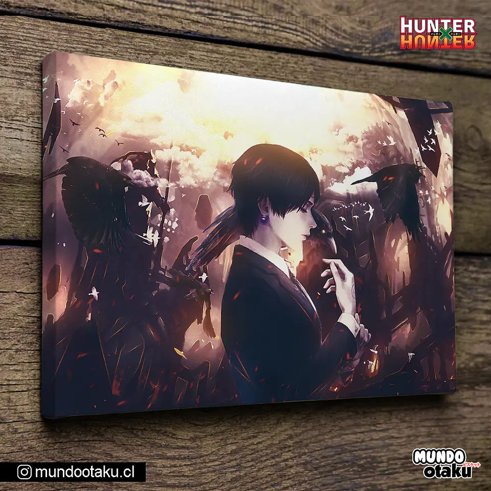 Cuadro Bastidor - Hunter x Hunter 1