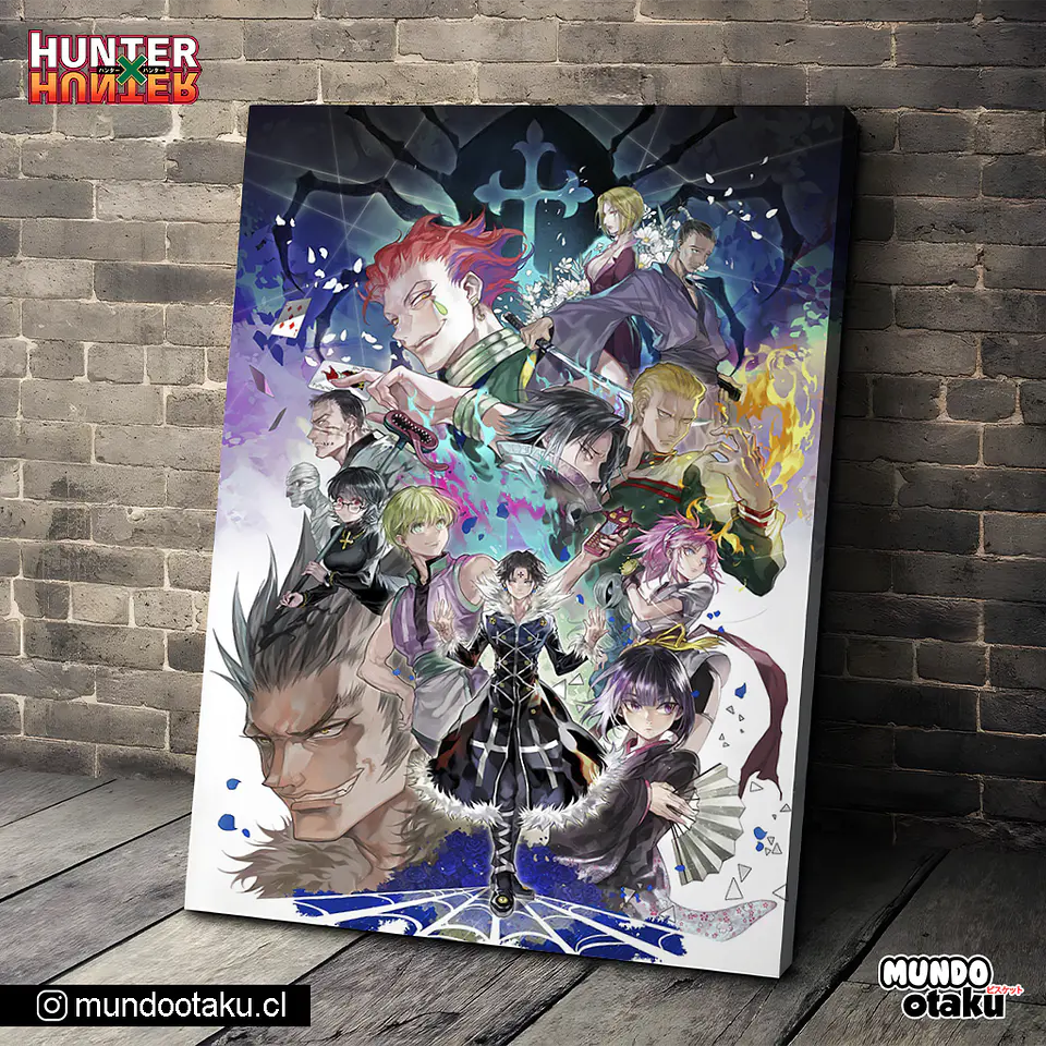 Cuadro Bastidor - Hunter x Hunter 1