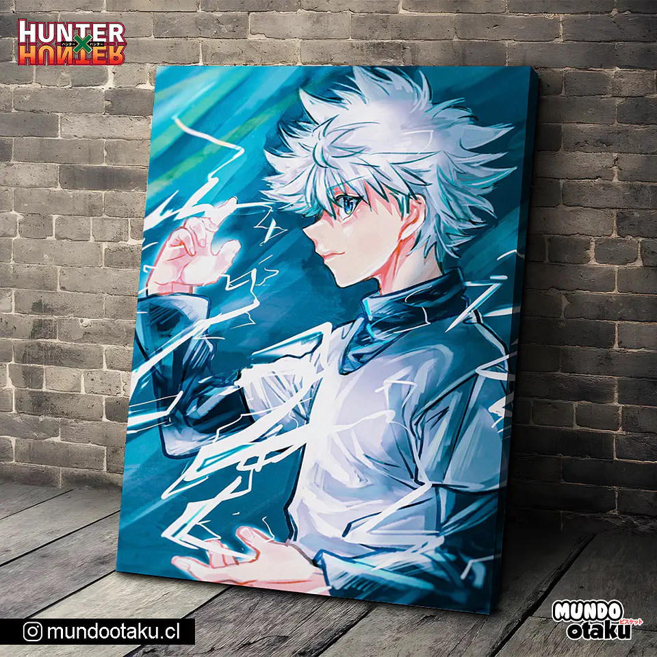 Cuadro Bastidor - Hunter x Hunter 1
