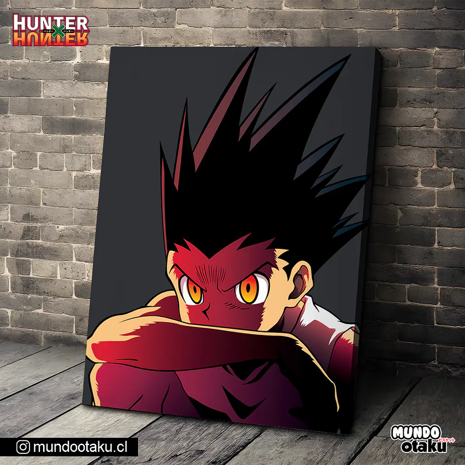 Cuadro Bastidor - Hunter x Hunter 1