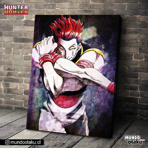 Cuadro Bastidor - Hunter x Hunter
