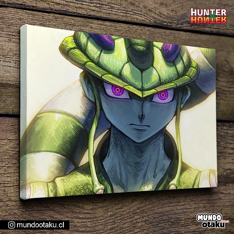 Cuadro Bastidor - Hunter x Hunter