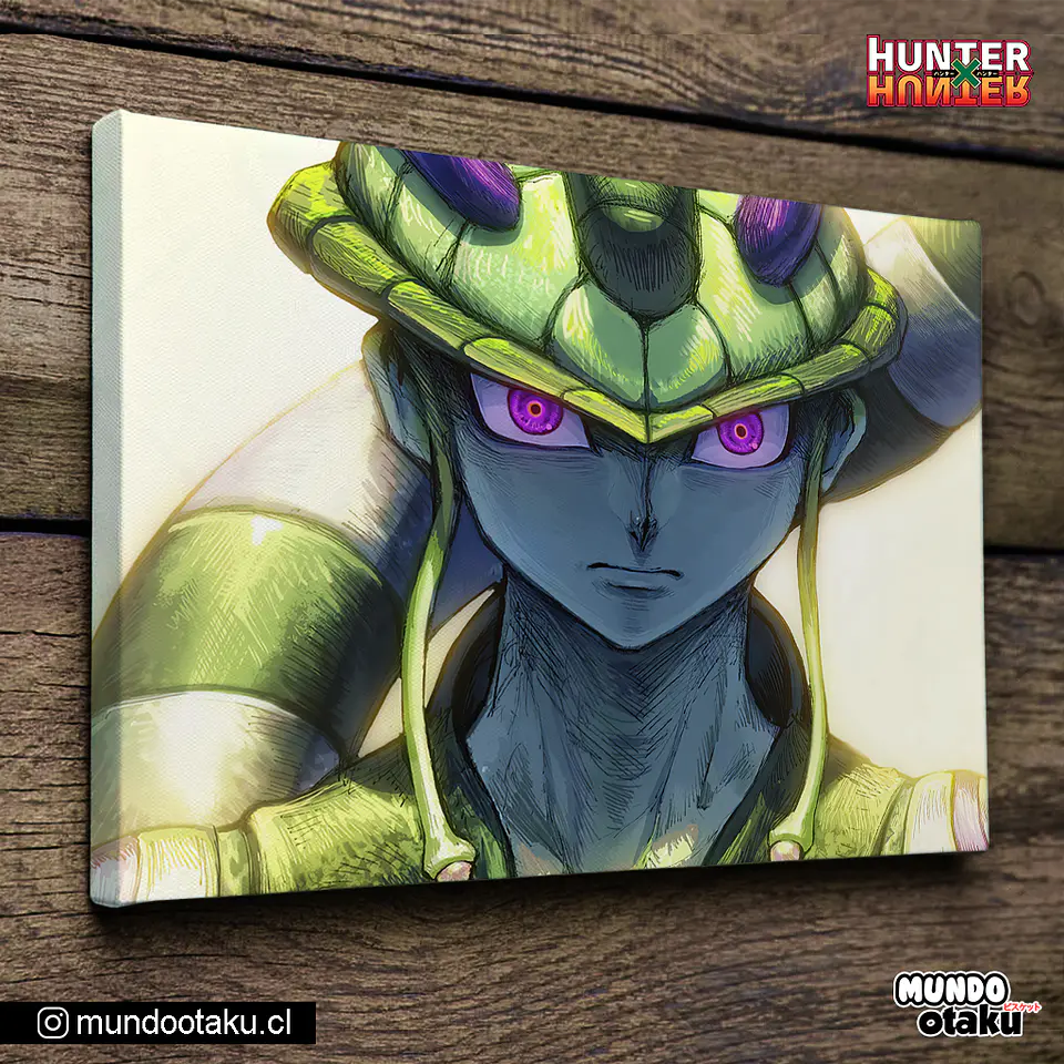 Cuadro Bastidor - Hunter x Hunter 1