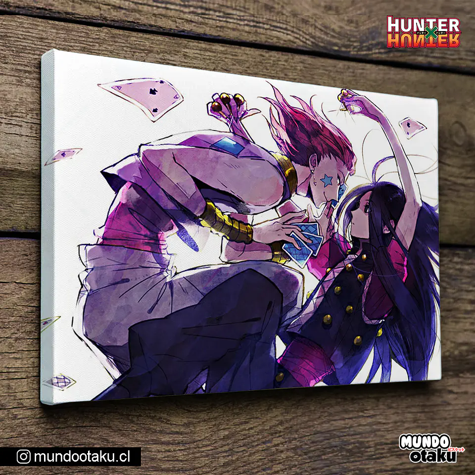 Cuadro Bastidor - Hunter x Hunter 1
