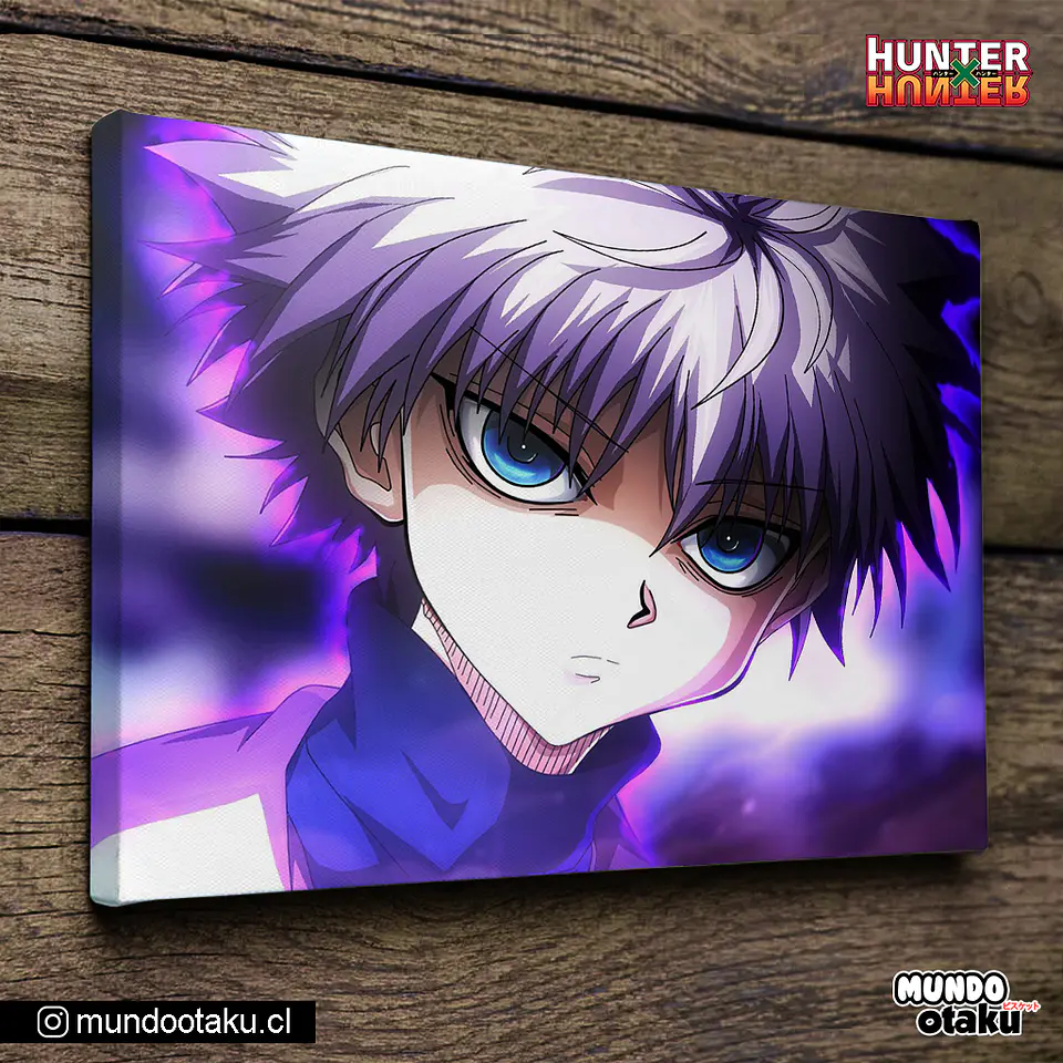 Cuadro Bastidor - Hunter x Hunter 1