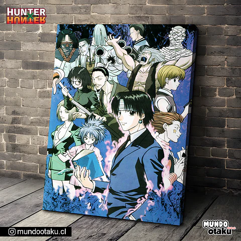 Cuadro Bastidor - Hunter x Hunter
