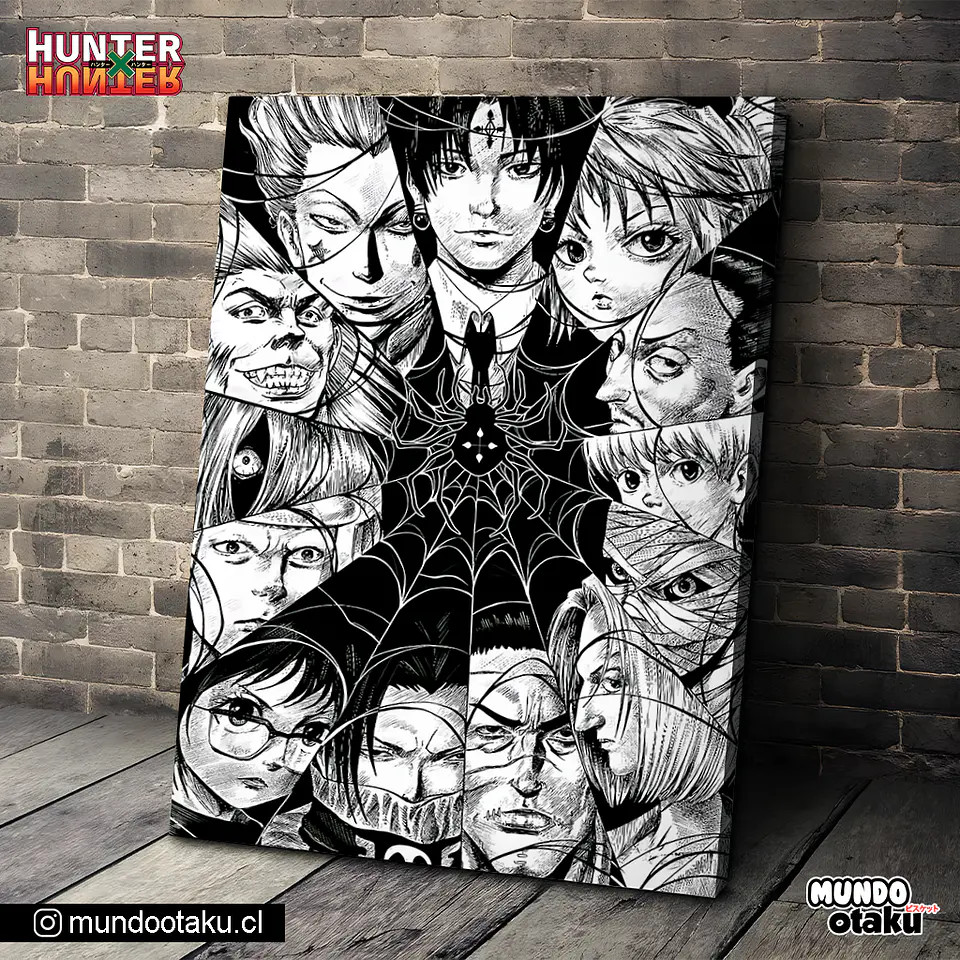 Cuadro Bastidor - Hunter x Hunter 1