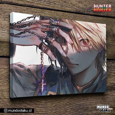 Cuadro Bastidor - Hunter x Hunter