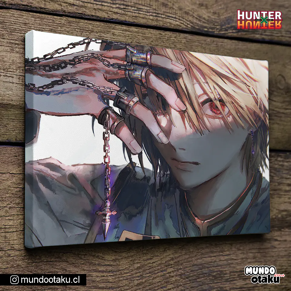 Cuadro Bastidor - Hunter x Hunter 1