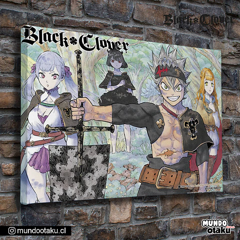 Cuadro Bastidor - Black Clover
