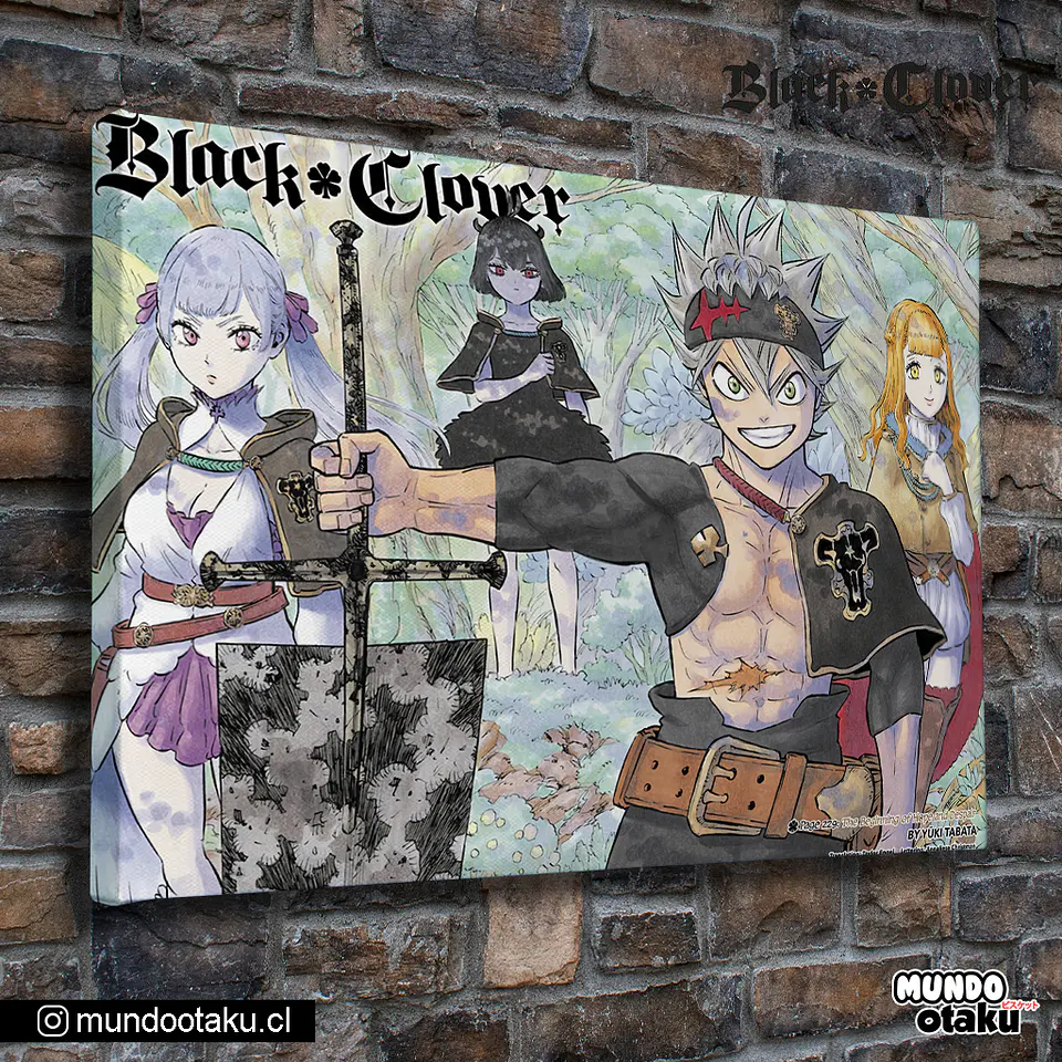 Cuadro Bastidor - Black Clover 1