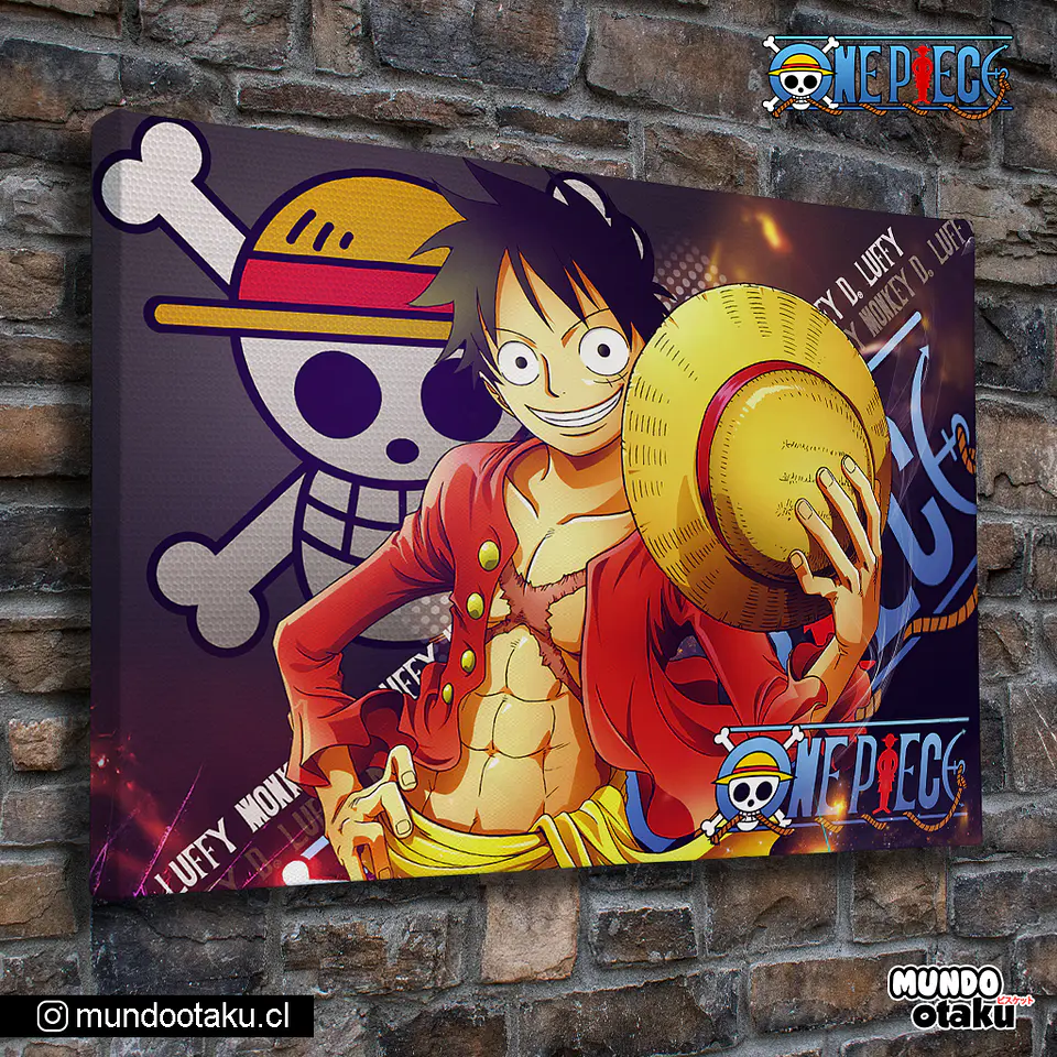 Cuadro Bastidor - One Piece 1