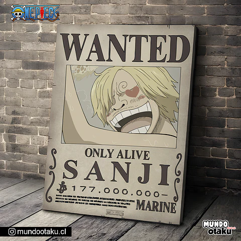 Cuadro Bastidor - One Piece