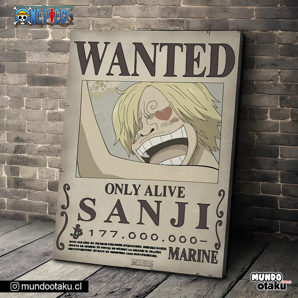 Cuadro Bastidor - One Piece 1
