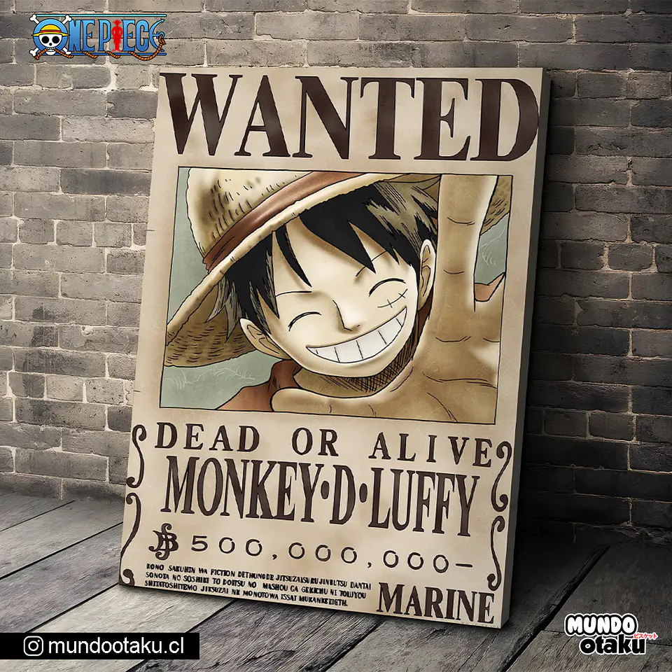 Cuadro Bastidor - One Piece 1