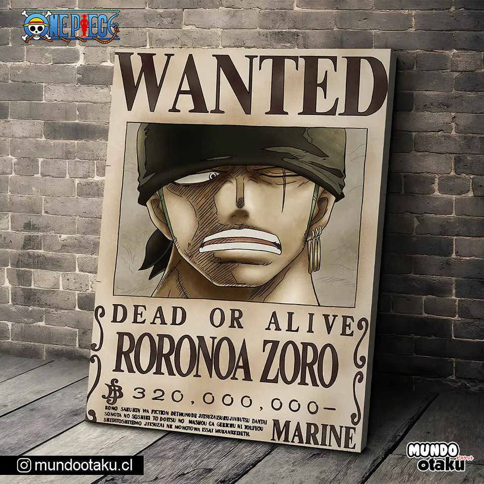 Cuadro Bastidor - One Piece 1