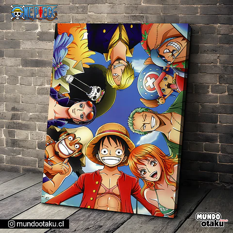 Cuadro Bastidor - One Piece