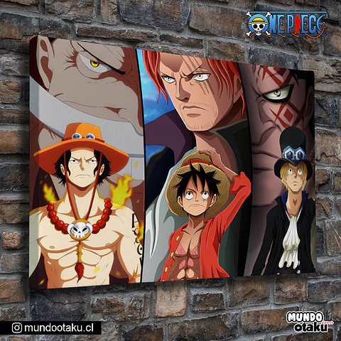 Cuadro Bastidor - One Piece