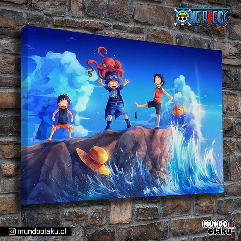 Cuadro Bastidor - One Piece