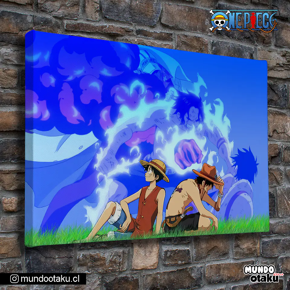 Cuadro Bastidor - One Piece 1