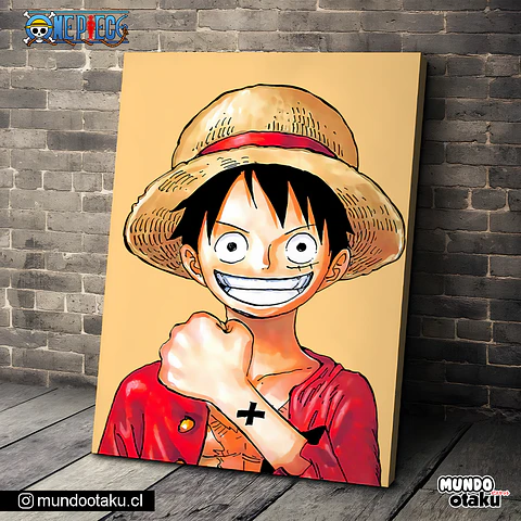 Cuadro Bastidor - One Piece