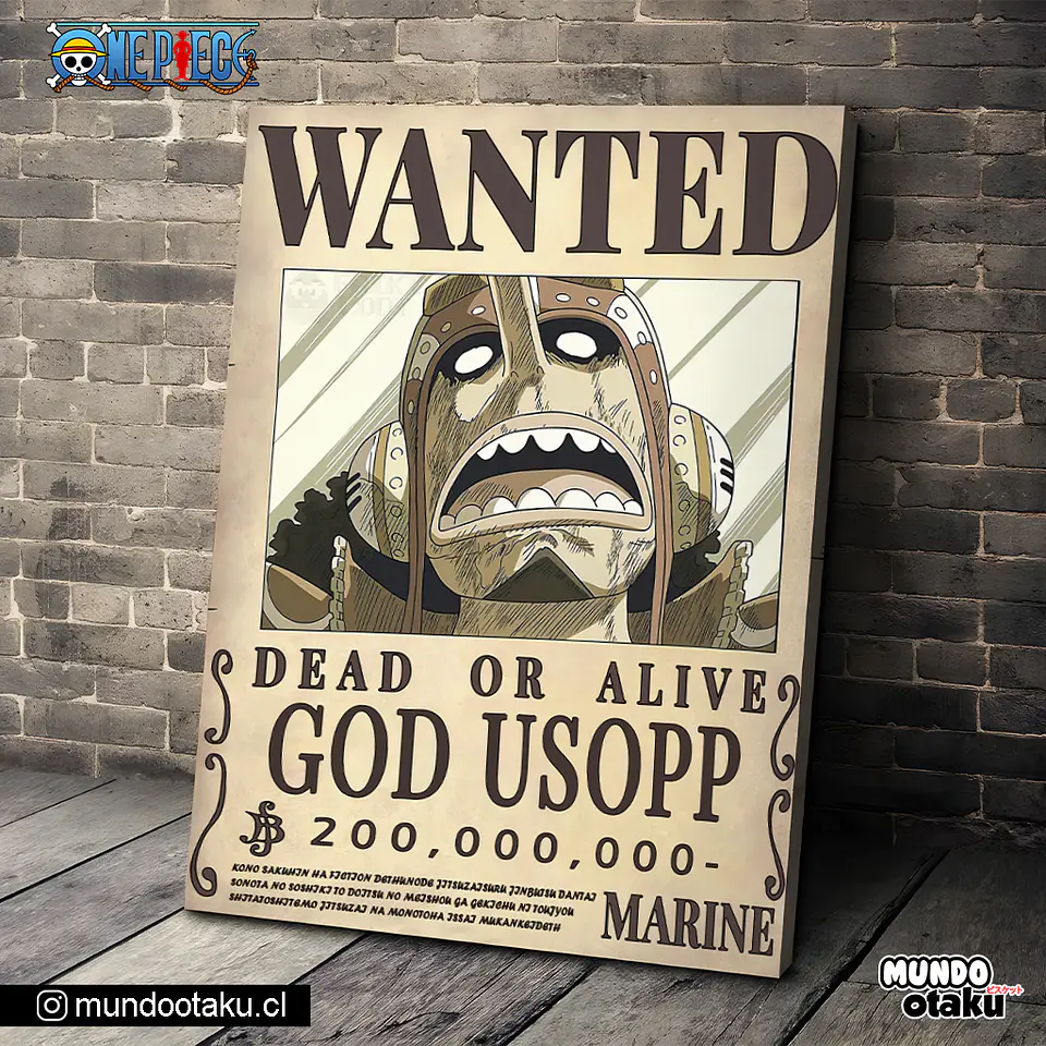 Cuadro Bastidor - One Piece 1