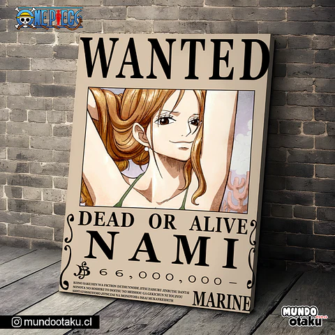 Cuadro Bastidor - One Piece