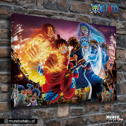 Cuadro Bastidor - One Piece