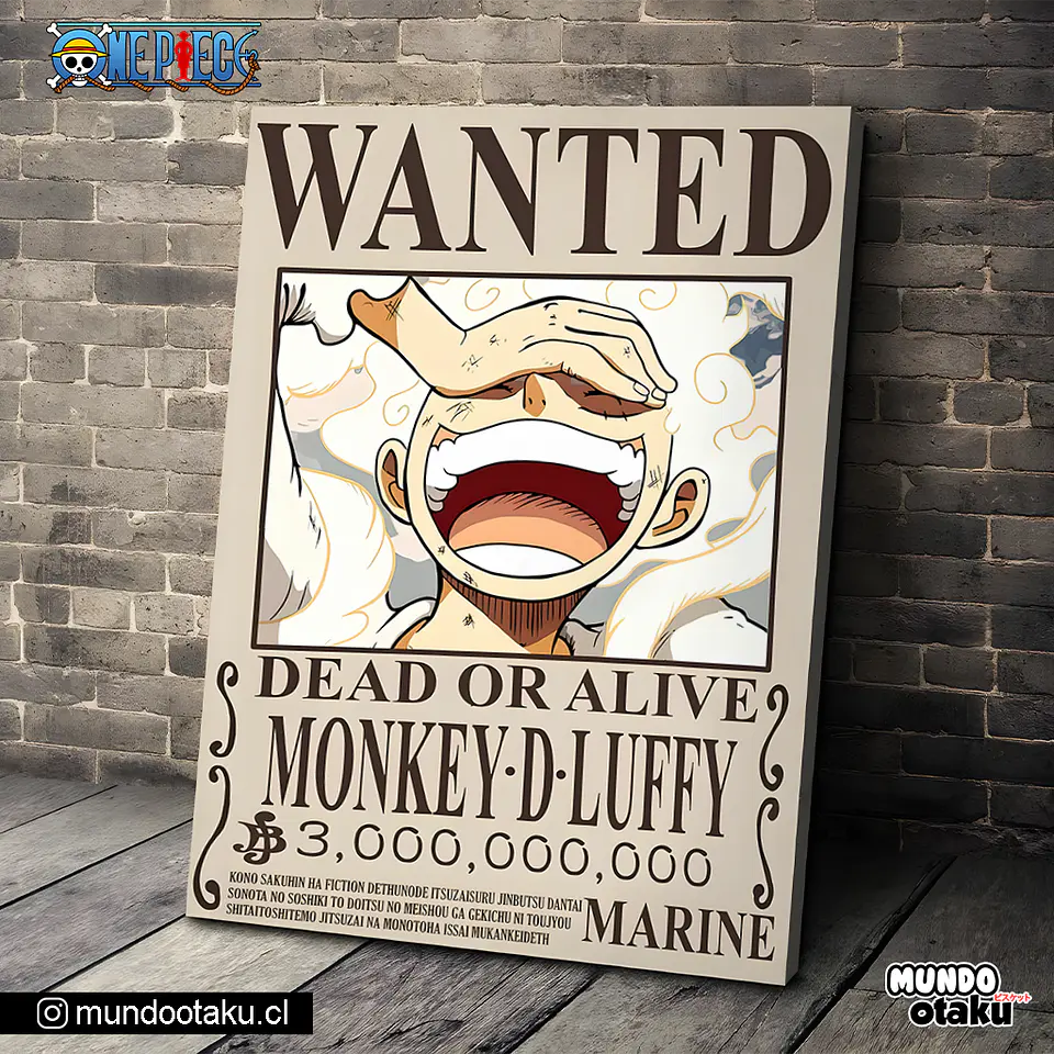 Cuadro Bastidor - One Piece 1