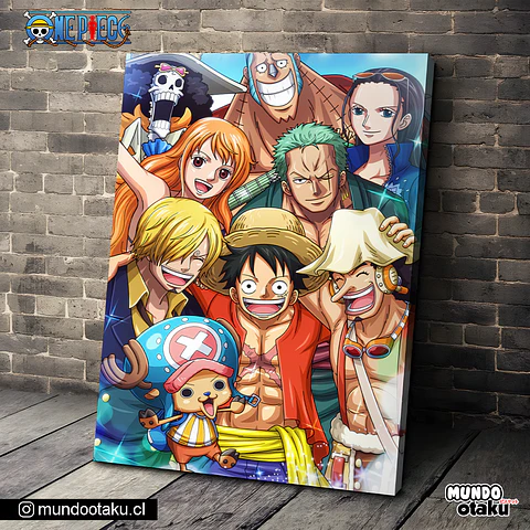 Cuadro Bastidor - One Piece