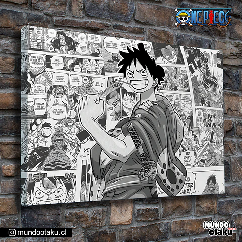 Cuadro Bastidor - One Piece