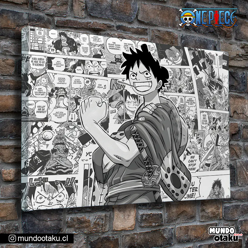Cuadro Bastidor - One Piece 1