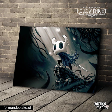 Cuadro Bastidor - Hollow Knight