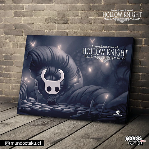 Cuadro Bastidor - Hollow Knight