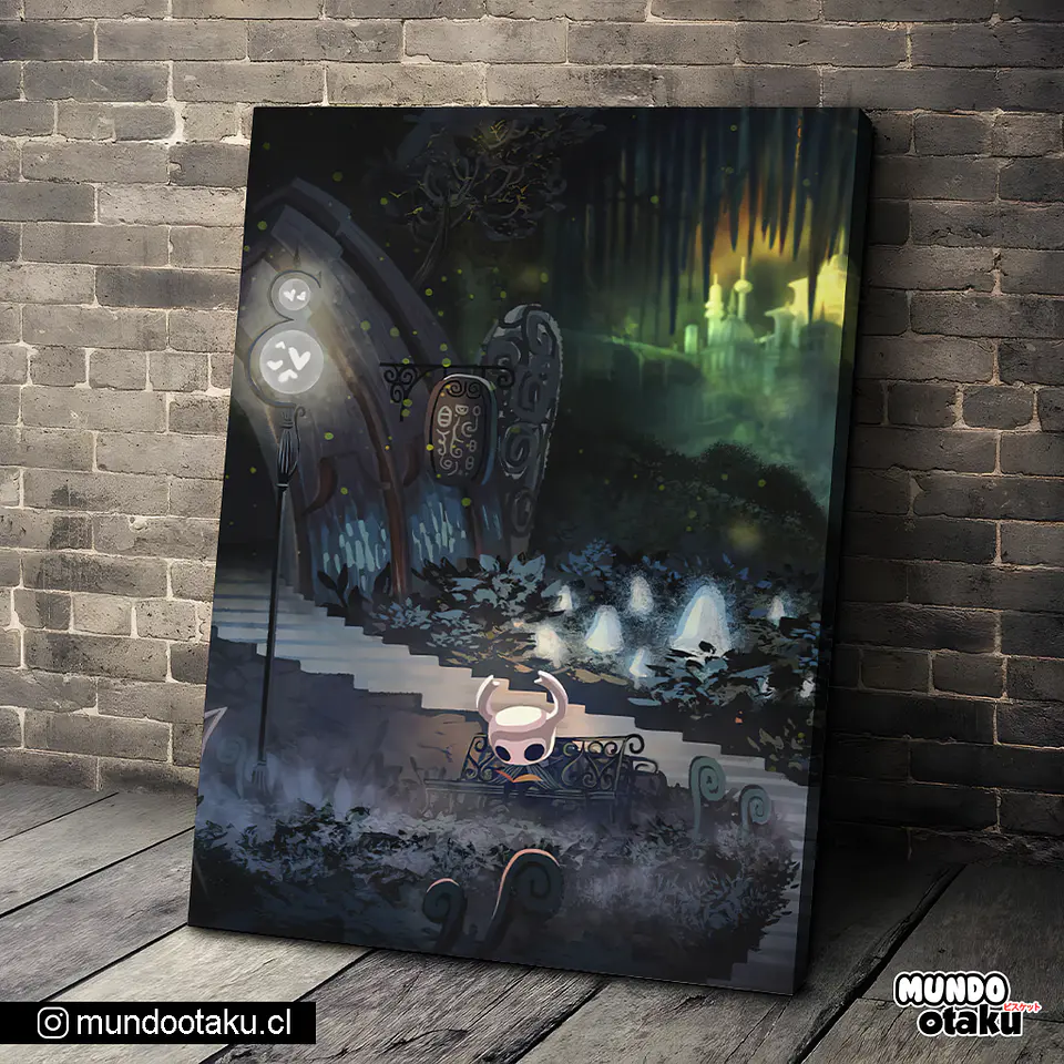 Cuadro Bastidor - Hollow Knight 1